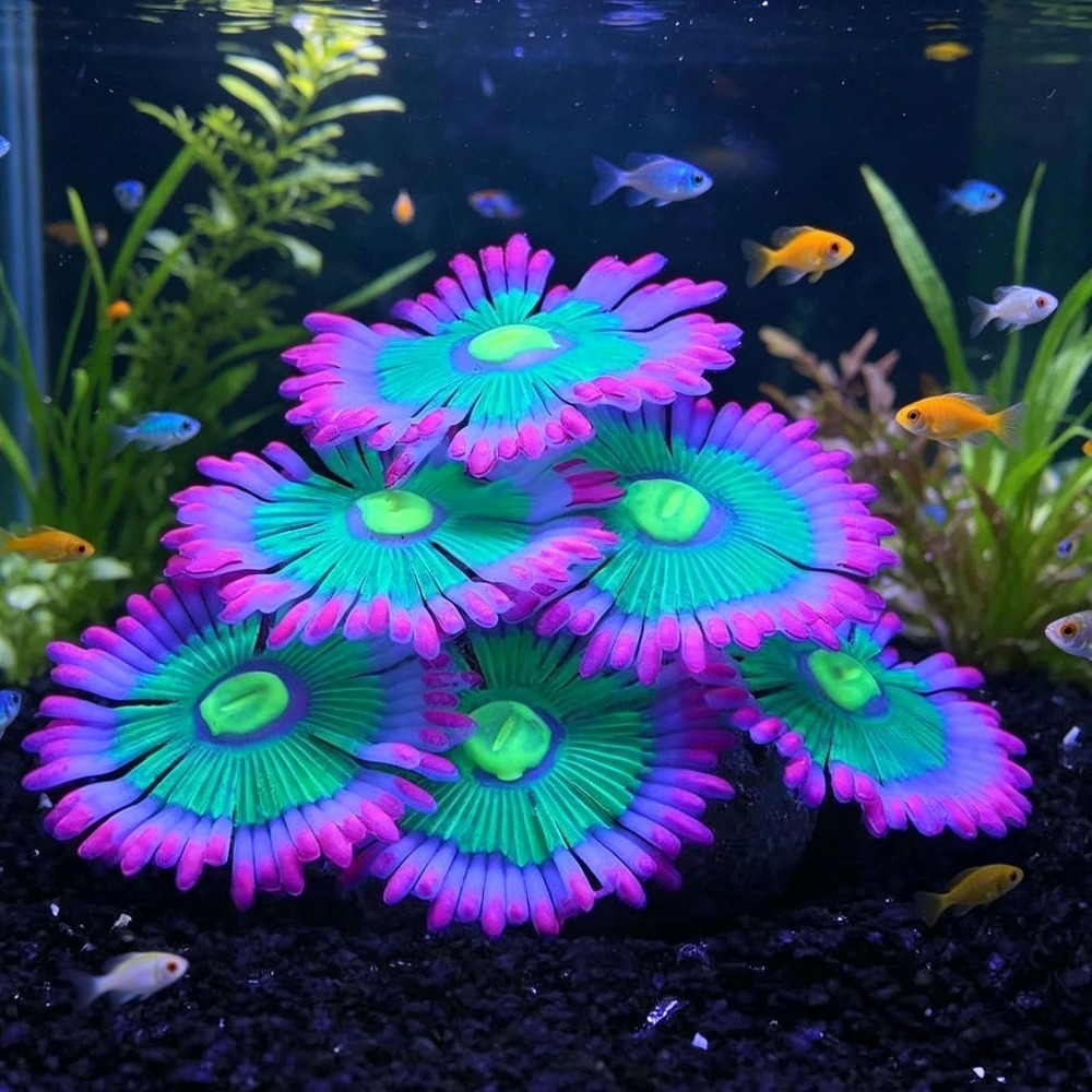 Marine Aquarium For Sale - Decorazioni Luminose per Acquario, Piante Artificiali