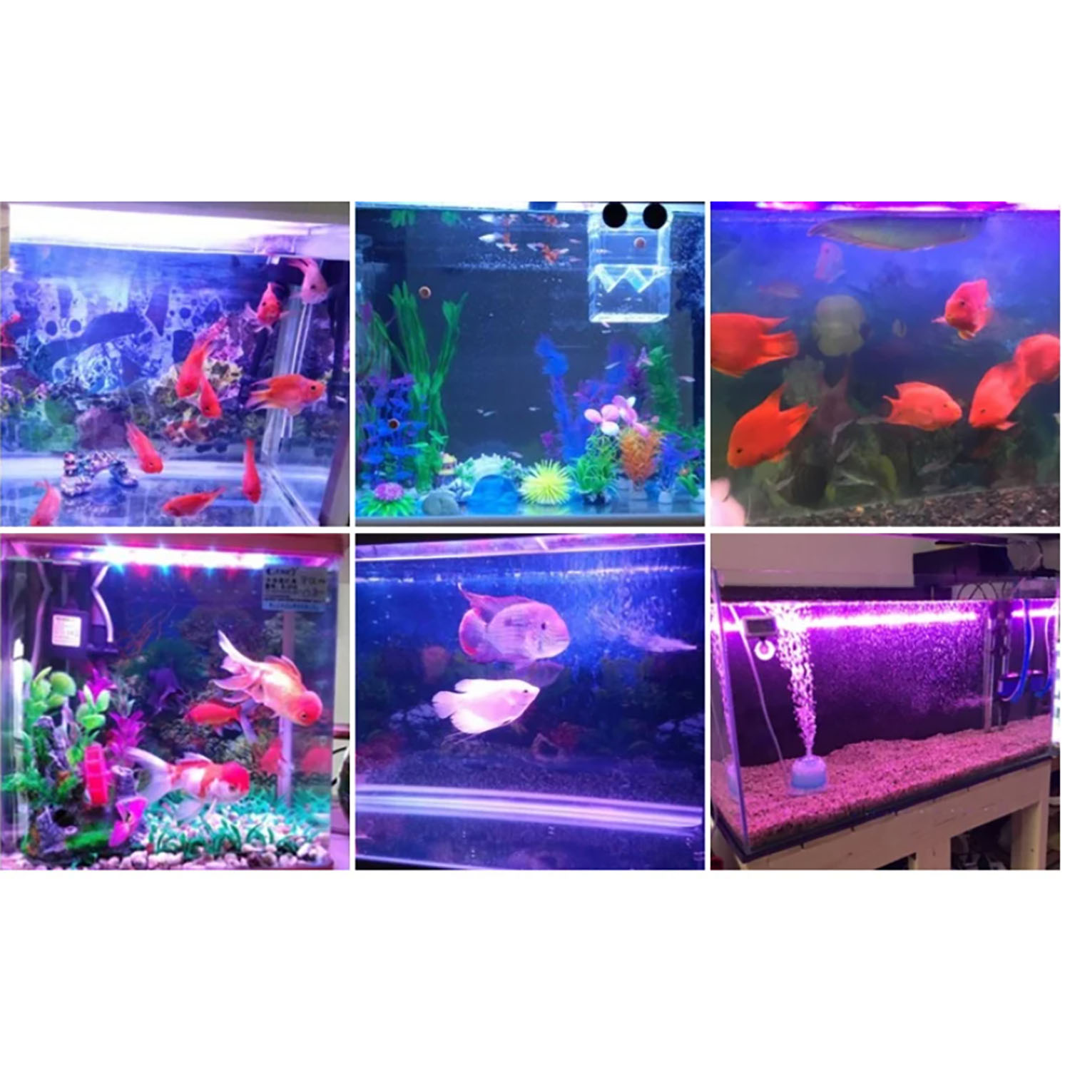 Marine Aquarium Led Lights - Illuminazione LED per Acquario Marino 50W