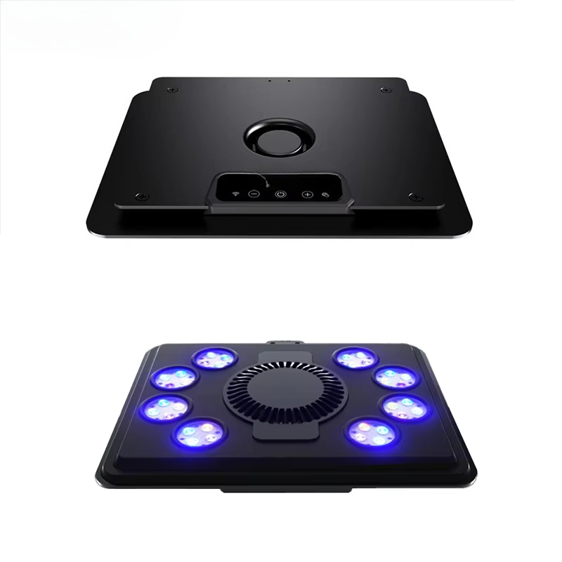 2025 vendita calda MJ-L260/L29 - Aquarium Blue Marine Reef recensione e prezzo