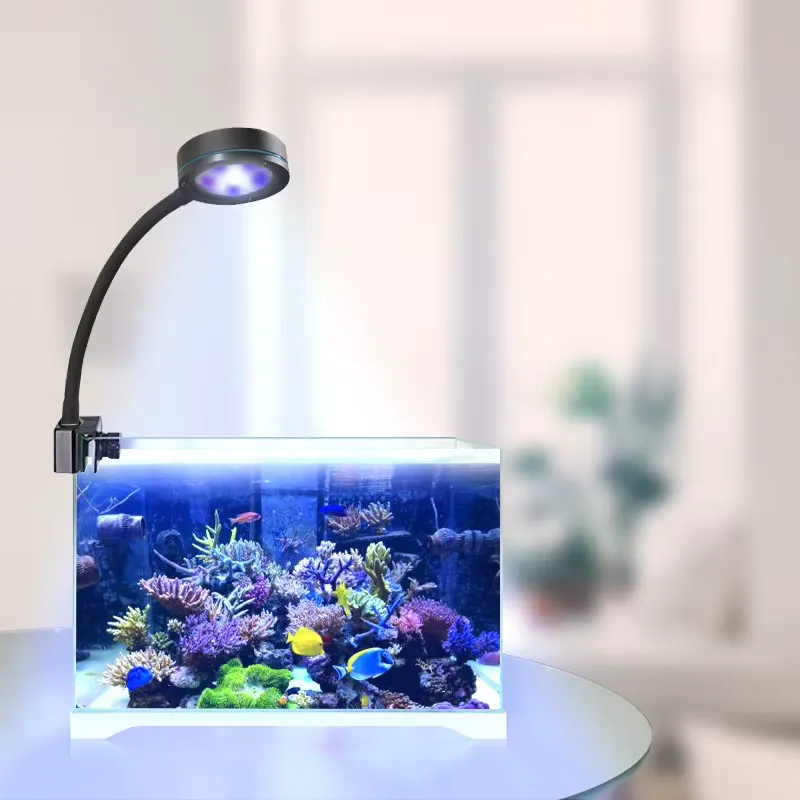 Aquasanrise Luce LED a Spettro - Aquarium Blue Marine Reef recensione e prezzo