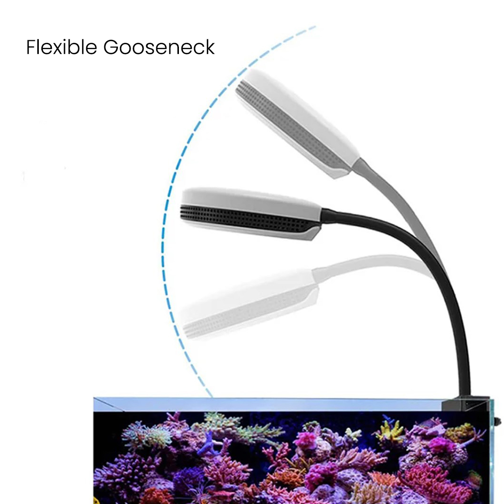Lampada LED per Acquario Spect - Marine Aquarium Led Lights recensione e prezzo