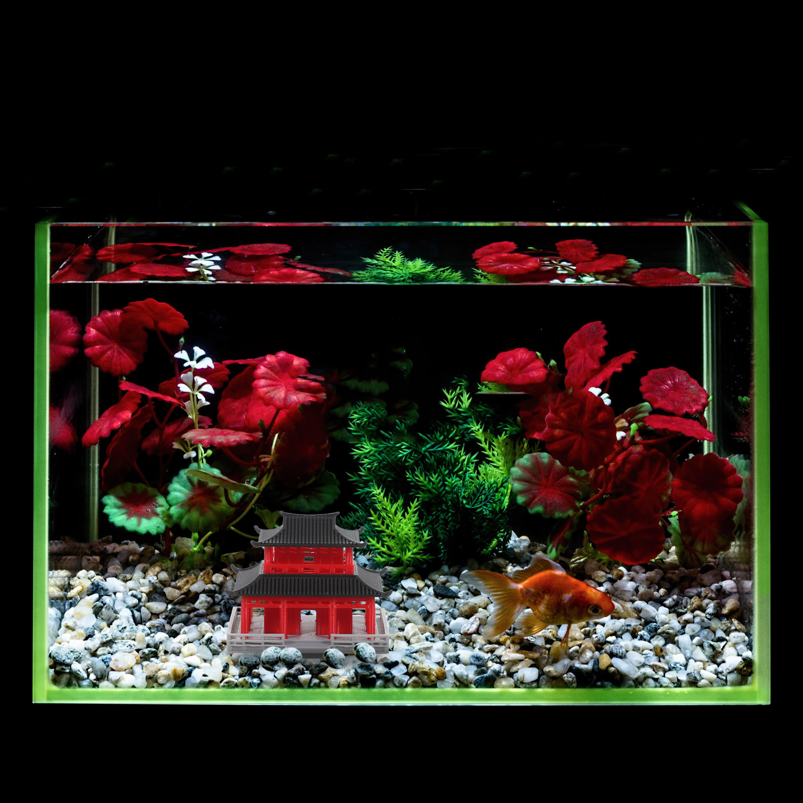 Mini Pagoda in Stile Cinese An - Aquarium & Marine Science Center recensione e prezzo
