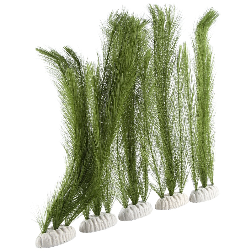 Decorazioni per acquario, acqu - Aquarium & Marine Science Center recensione e prezzo