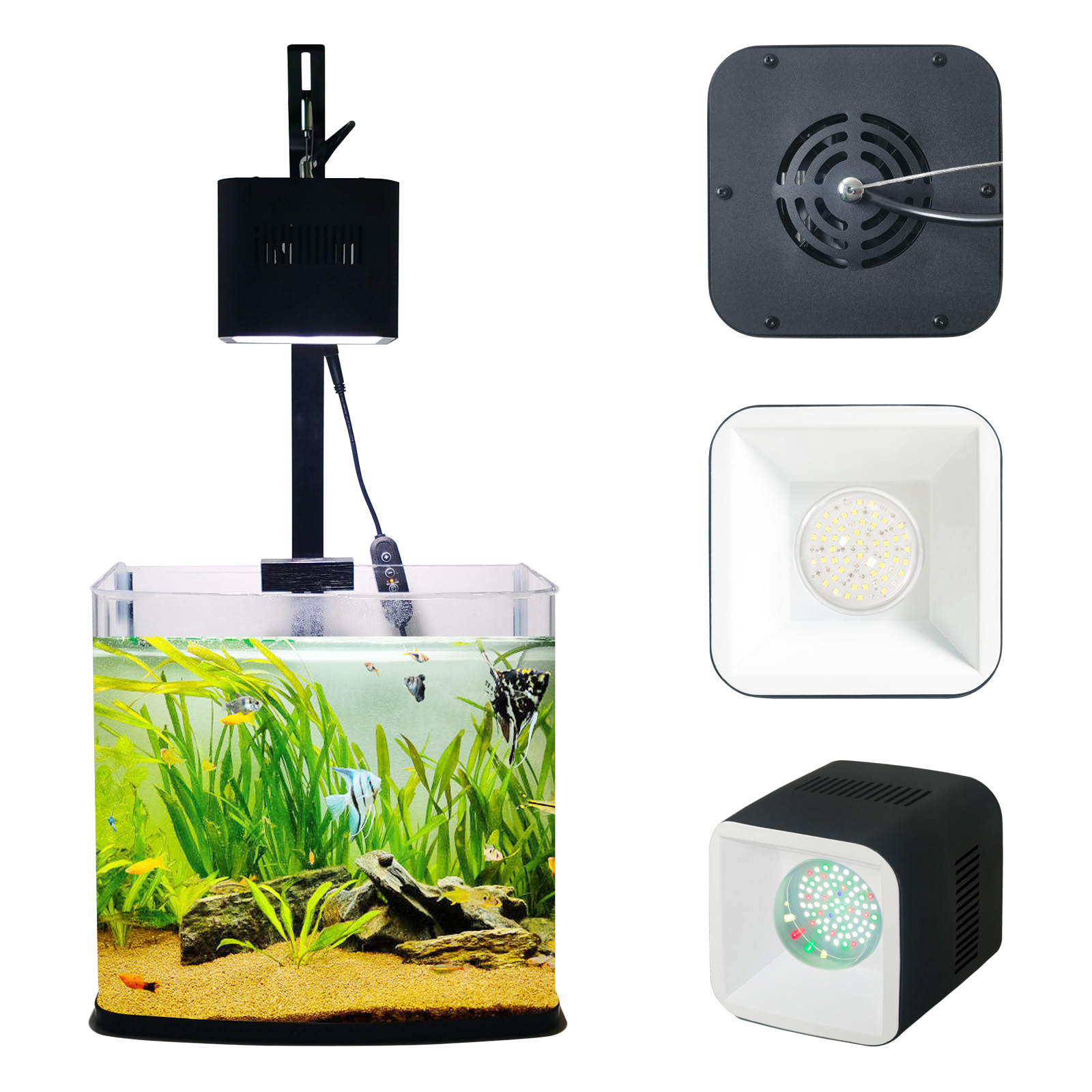 8H 10H 12H Pannello timer Reef - Aquarium Blue Marine Reef recensione e prezzo