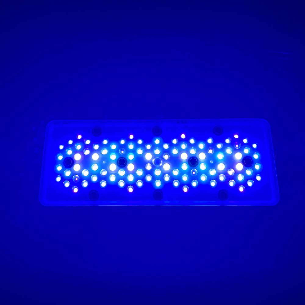 A8se A8PRO III BLUE 240W Luce  - Aquarium Blue Marine Reef recensione e prezzo
