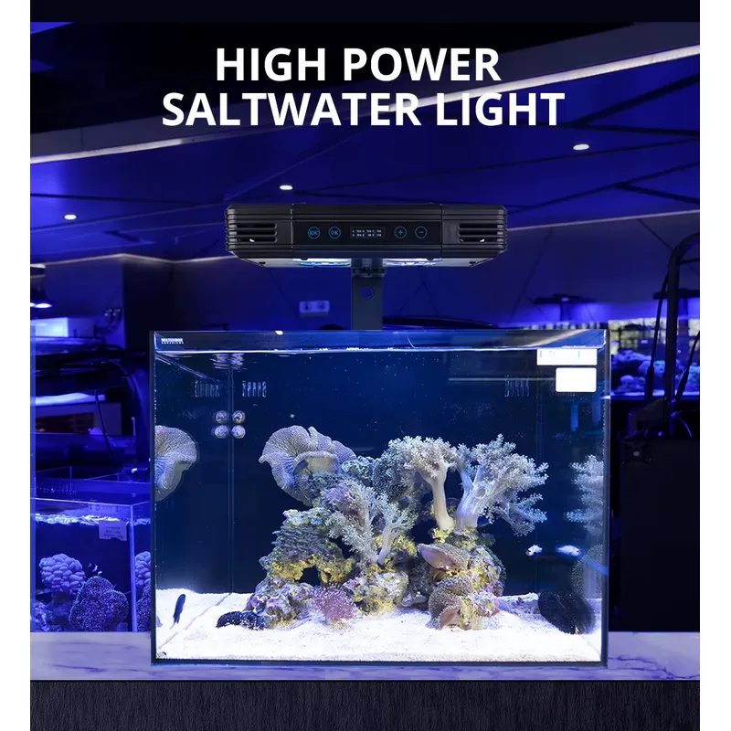 Lampada LED a Spettro Completo - Marine Aquarium Led Lights recensione e prezzo