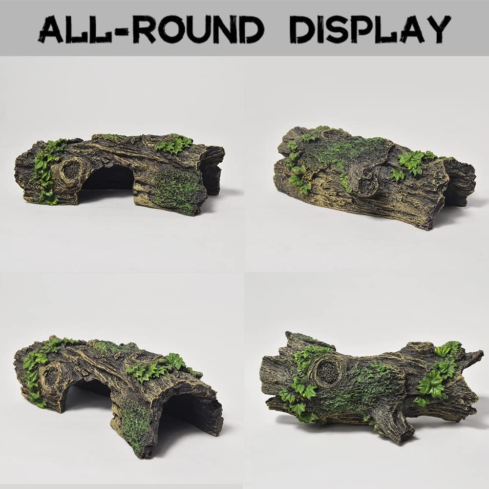 Acquario Albero Cavo Tunnel Gr - Marine Aquarium For Sale recensione e prezzo