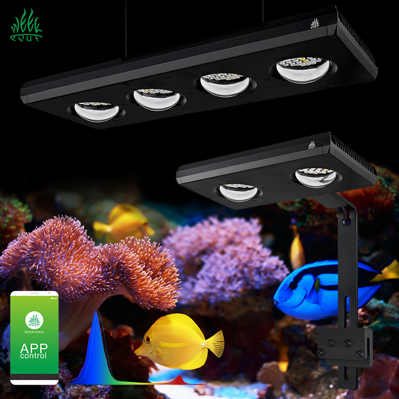 ZXY Vendita Calda WEEKAQUA Z25 - Aquarium Marine Blue recensione e prezzo