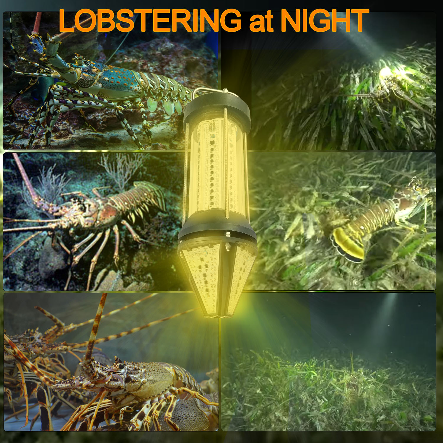 Luce Subacquea NS Verde Blu Bi - Aquarium Marine Blue recensione e prezzo