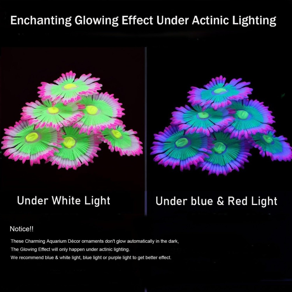 Decorazioni Luminose per Acqua - Marine Aquarium For Sale recensione e prezzo
