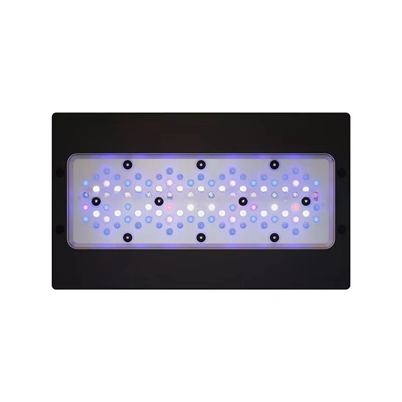 Luce LED per Acquario Marino A - Aquarium Blue Marine Reef recensione e prezzo