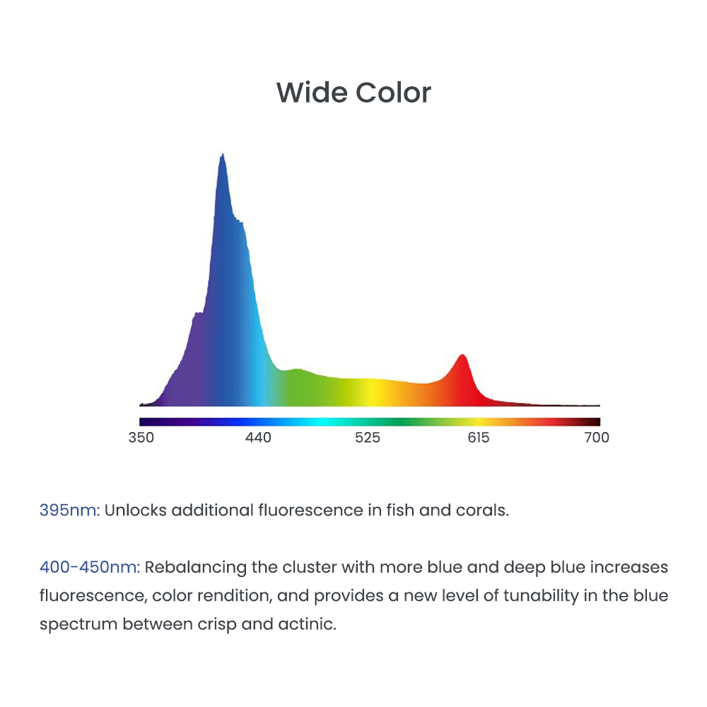 Luce LED per Acquario Marino A - Aquarium Blue Marine Reef recensione e prezzo