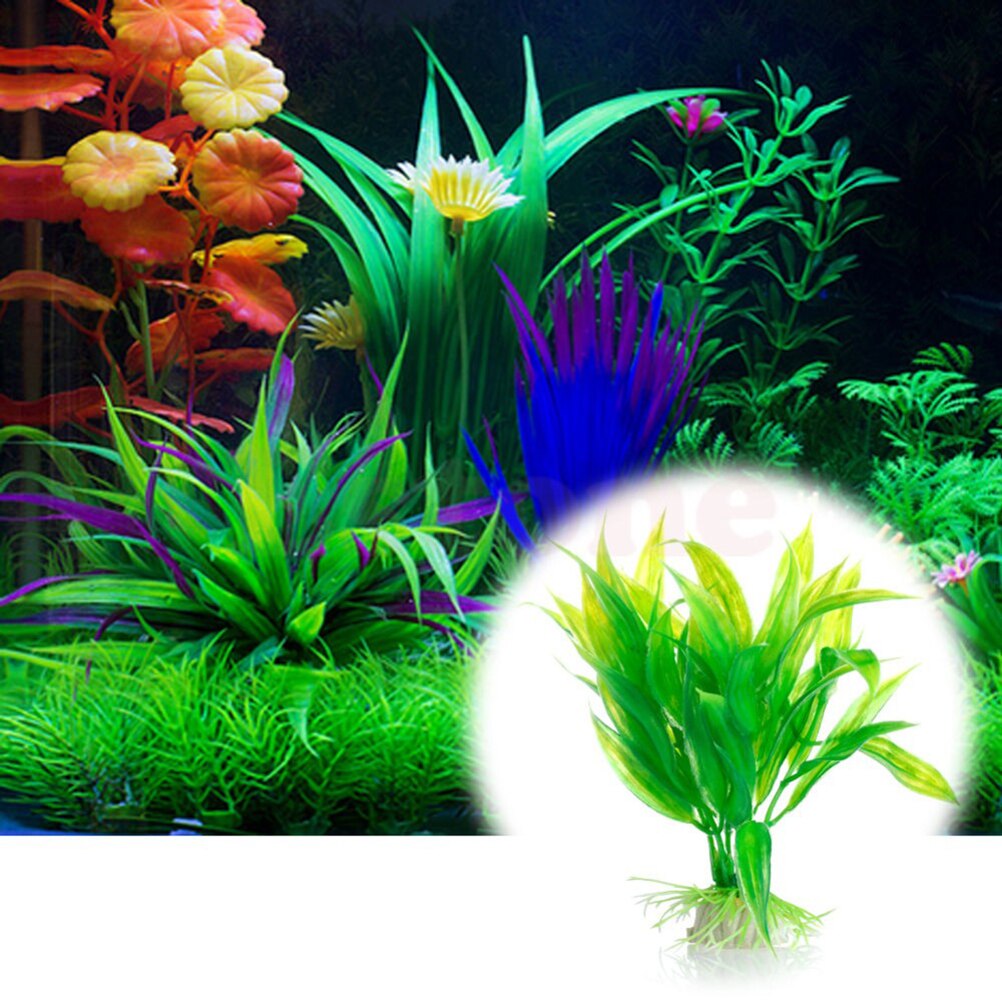 15cm artificiale acquario Deco - Marine Aquarium For Sale recensione e prezzo