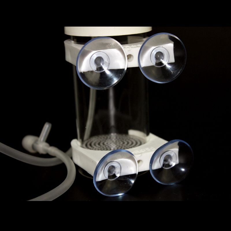 Incubatrice per Uova di Ciclid - Aquarium & Marine Science Center recensione e prezzo
