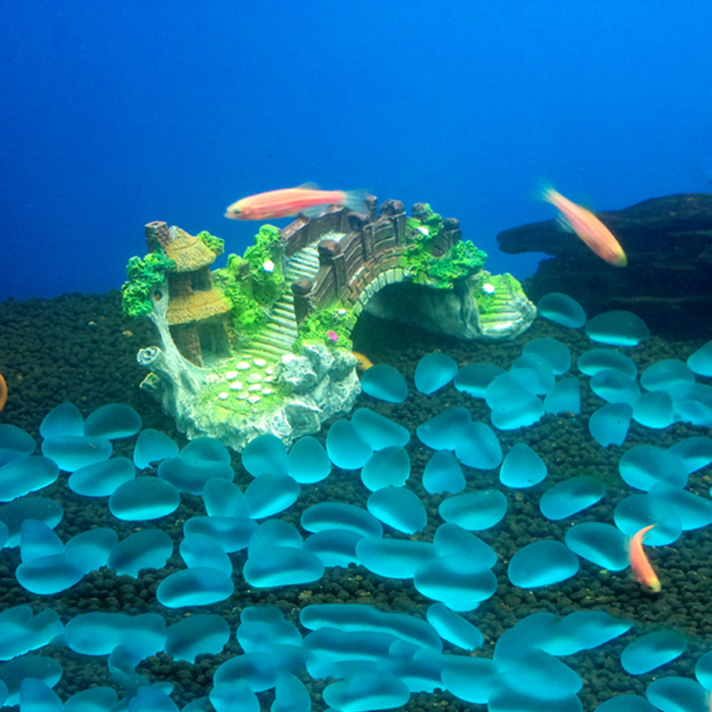 Accessori per acquari Albero p - Marine Aquarium For Sale recensione e prezzo