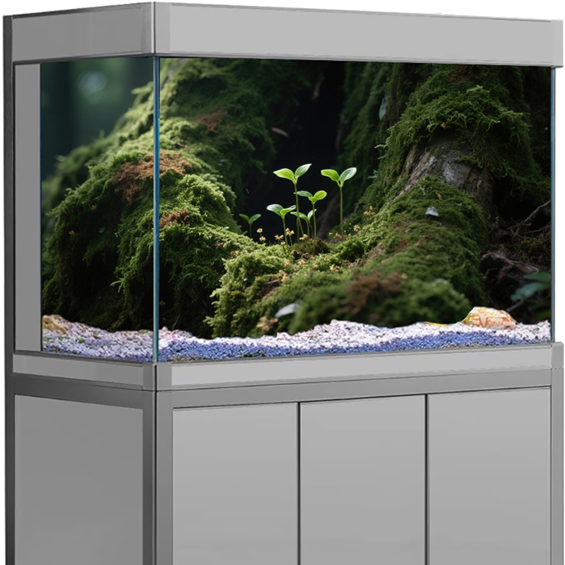 Decorazione per Acquario, Ades - Marine Aquarium For Sale recensione e prezzo
