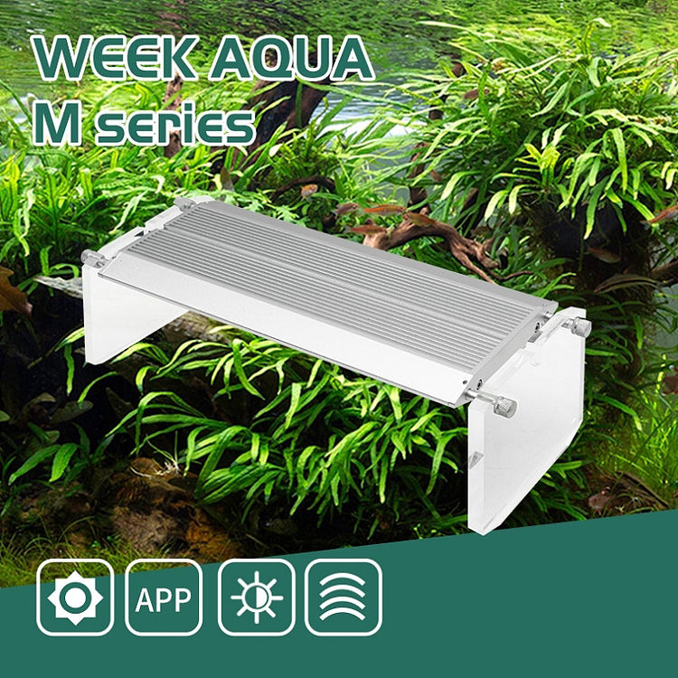 WEEK AQUA Luce LED Vivida per  - Marine Aquarium Led Lights recensione e prezzo