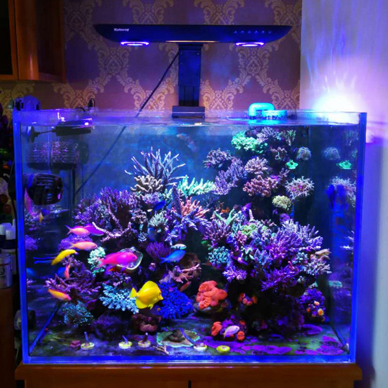 Lampada LED AE200 200W per Acq - Marine Aquarium Led Lights recensione e prezzo